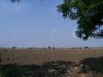 1784926042008(29).JPG