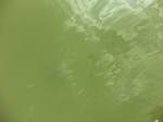 58227CIMG2674.JPG