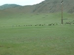 23926P1050026.JPG