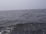 2349 419.jpg