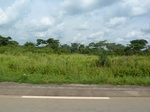 19837P1010687.JPG