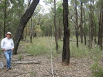 43724NSW004_L5.jpg