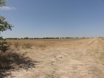 35004DSC01906.JPG