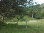 5876100_1570.JPG