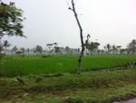31714CIMG1582.JPG