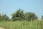 2024-06-17_21-52-50_652AA7A4-46D7-4F6E-9B2B-6D9D0FD5841D.jpeg