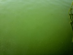 55547IMG_0710.JPG