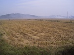 3225R0017259.JPG