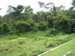 14526IMG_4885.JPG