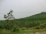 33003CIMG2161.JPG