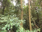 46729DSC02065.JPG