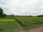 22117DSC00358.JPG