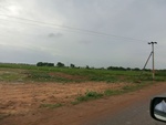 55891CIMG6588.JPG