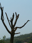 503420042008(70).JPG