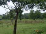 8914nigeria 126.jpg