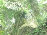 48157CIMG4494.JPG