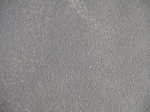 10061DSC02787.JPG
