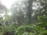 48071CIMG4408.JPG