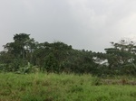 49886CIMG6223.JPG