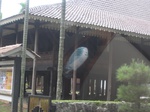 14923IMG_5317.JPG