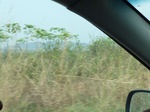 51555P1000726.JPG