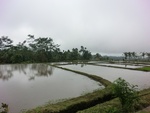 30752CIMG0592.JPG