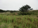 55650CIMG2425.JPG
