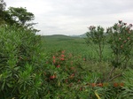 34756CIMG2587.JPG