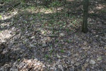 188IMG_4084.JPG