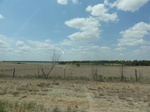 35716DSC02220.JPG