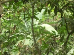 48701CIMG5038.JPG