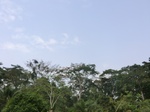 49692CIMG6029.JPG