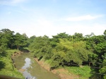 14178IMG_4515.JPG