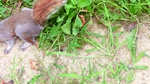 57272CIMG3195.JPG