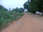 47337CIMG3674.JPG