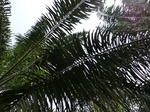 50648CIMG1277.JPG