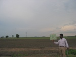 7923gt116b_farmfallow_fallow.jpg