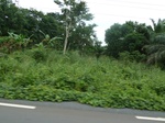 25514P1020359.JPG