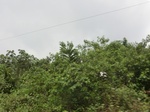 49823CIMG6160.JPG