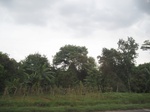 15635IMG_4707.JPG