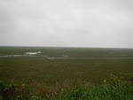 54501DSCN1783.JPG