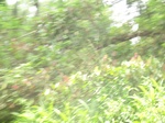 48778CIMG5115.JPG