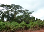 19901P1010751.JPG