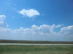 55532CIMG2123.JPG