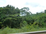 25309P1020153.JPG