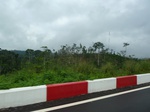 20528P1020385.JPG