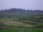 798R0015370_tag.jpg