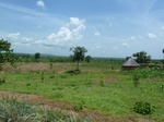 19596P1010443.JPG