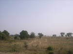 9093RIMG0173.JPG