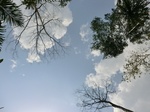46568CIMG0857.JPG